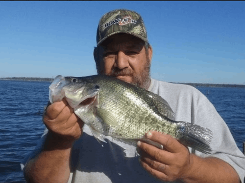 Dblrcatfish & Crappie