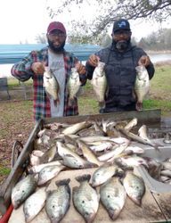 Dblrcatfish & Crappie